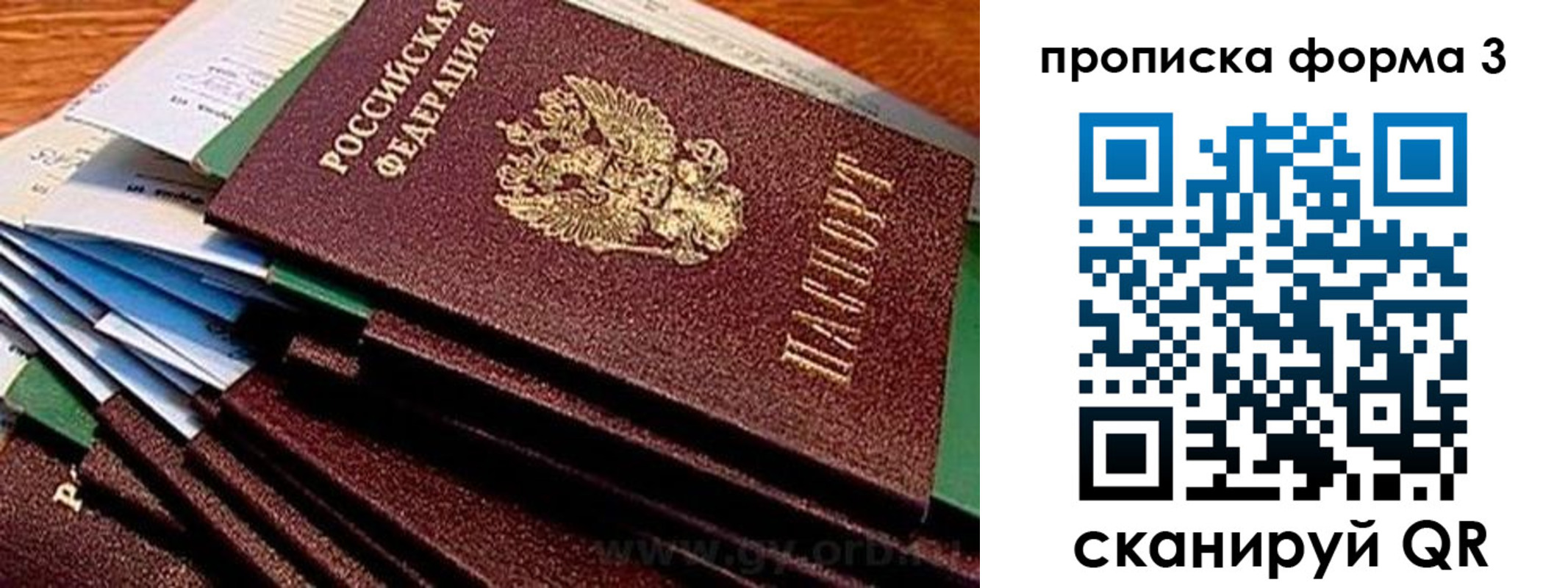 прописка иностранных граждан в Зеленодольске